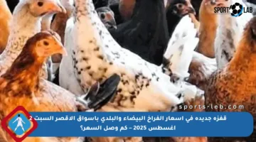 قفزة جديدة في أسعار الفراخ البيضاء والبلدي بأسواق الأقصر السبت 2 أغسطس 2025 – كم وصل السعر؟